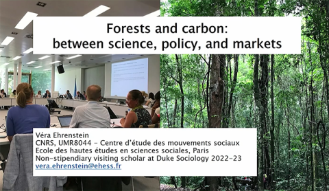 Forest and carbon: between science, policy, and markets